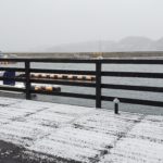 2021、長崎、雪です。